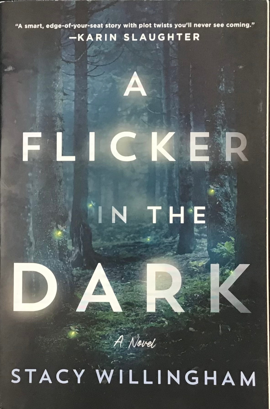 A Flicker In The Dark, Stacy Willingham