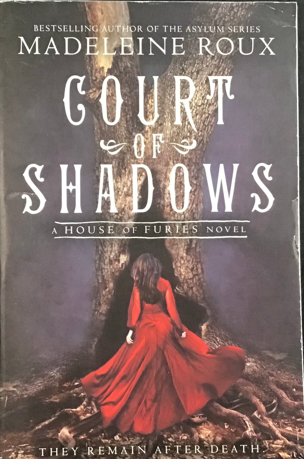 Court of Shadows, Madeleine Roux