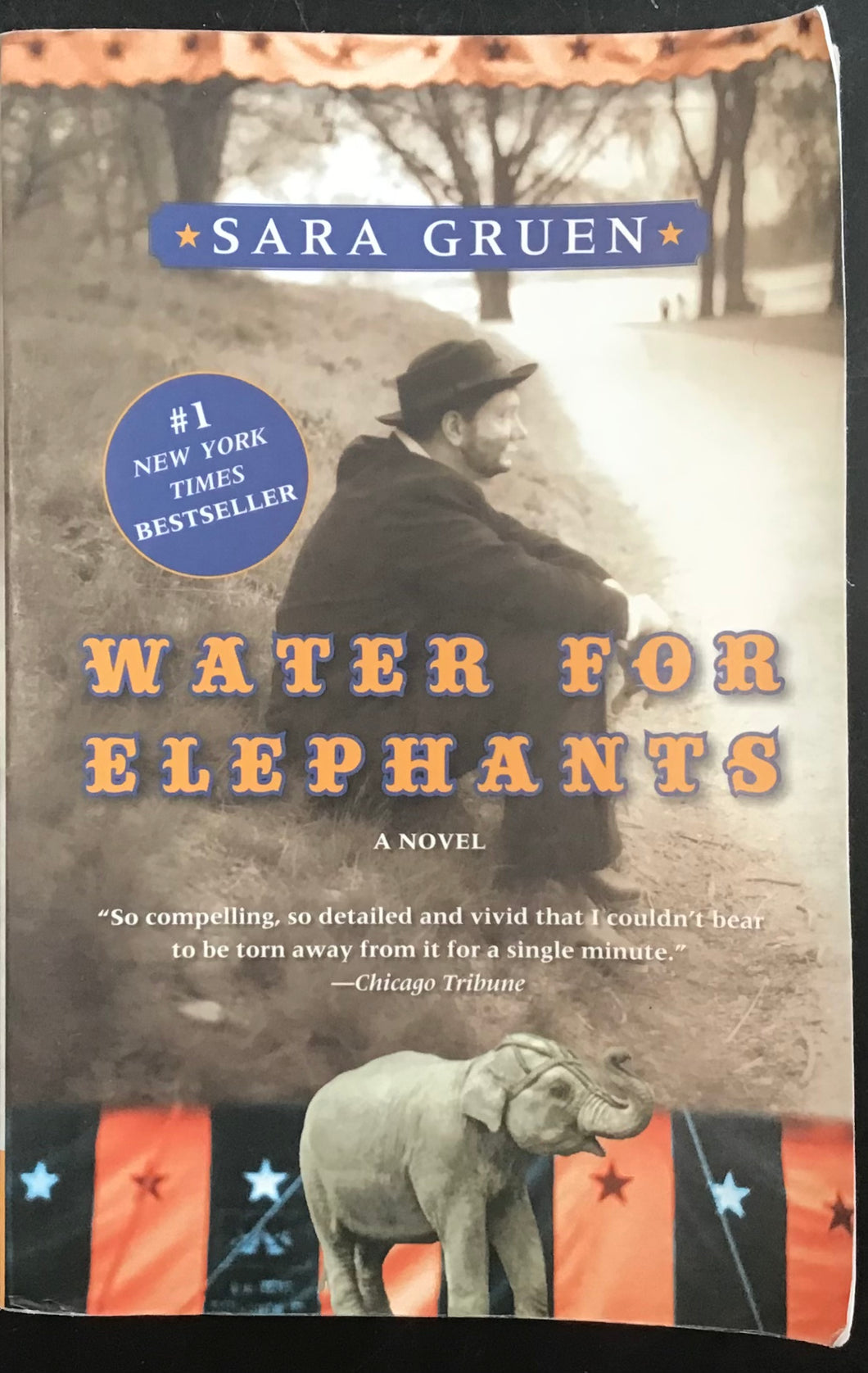 Water For Elephants, Sara Gruen