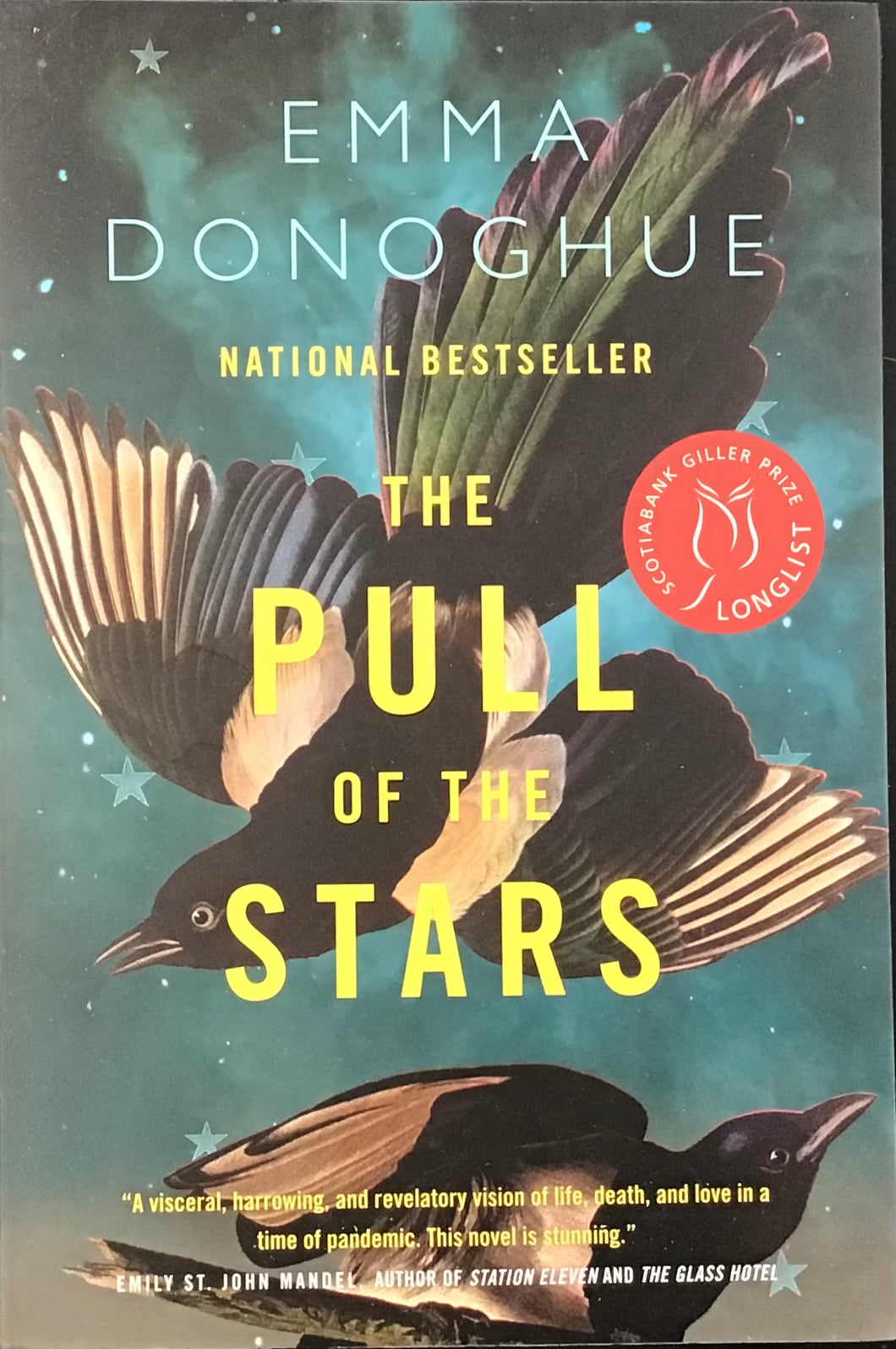 The Pull Of The Stars, Emma Donoghue