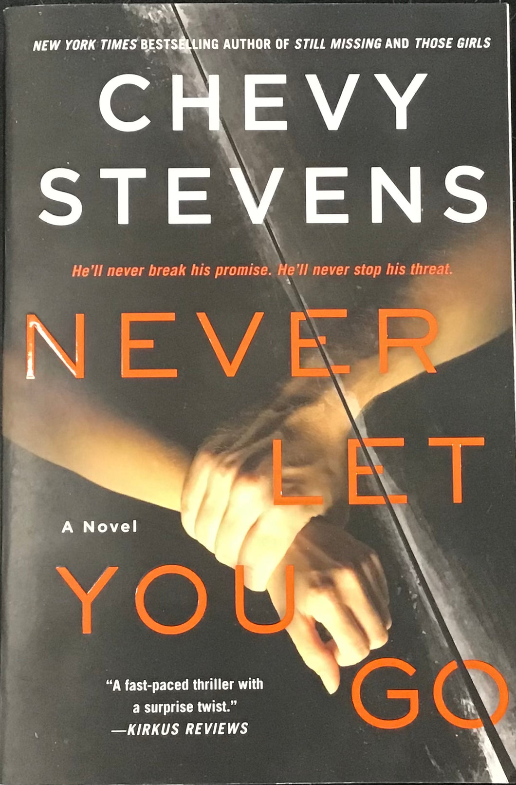 Never Let You Go, Chevy Stevens