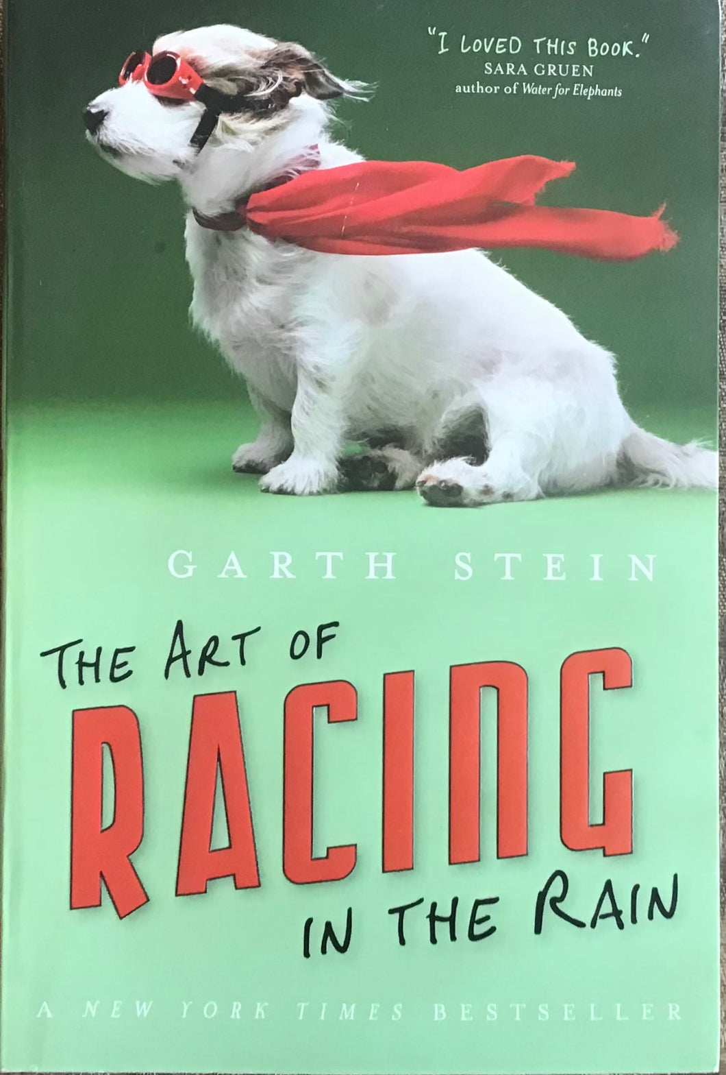 The Art Of Racing in the Rain, Garth Stein