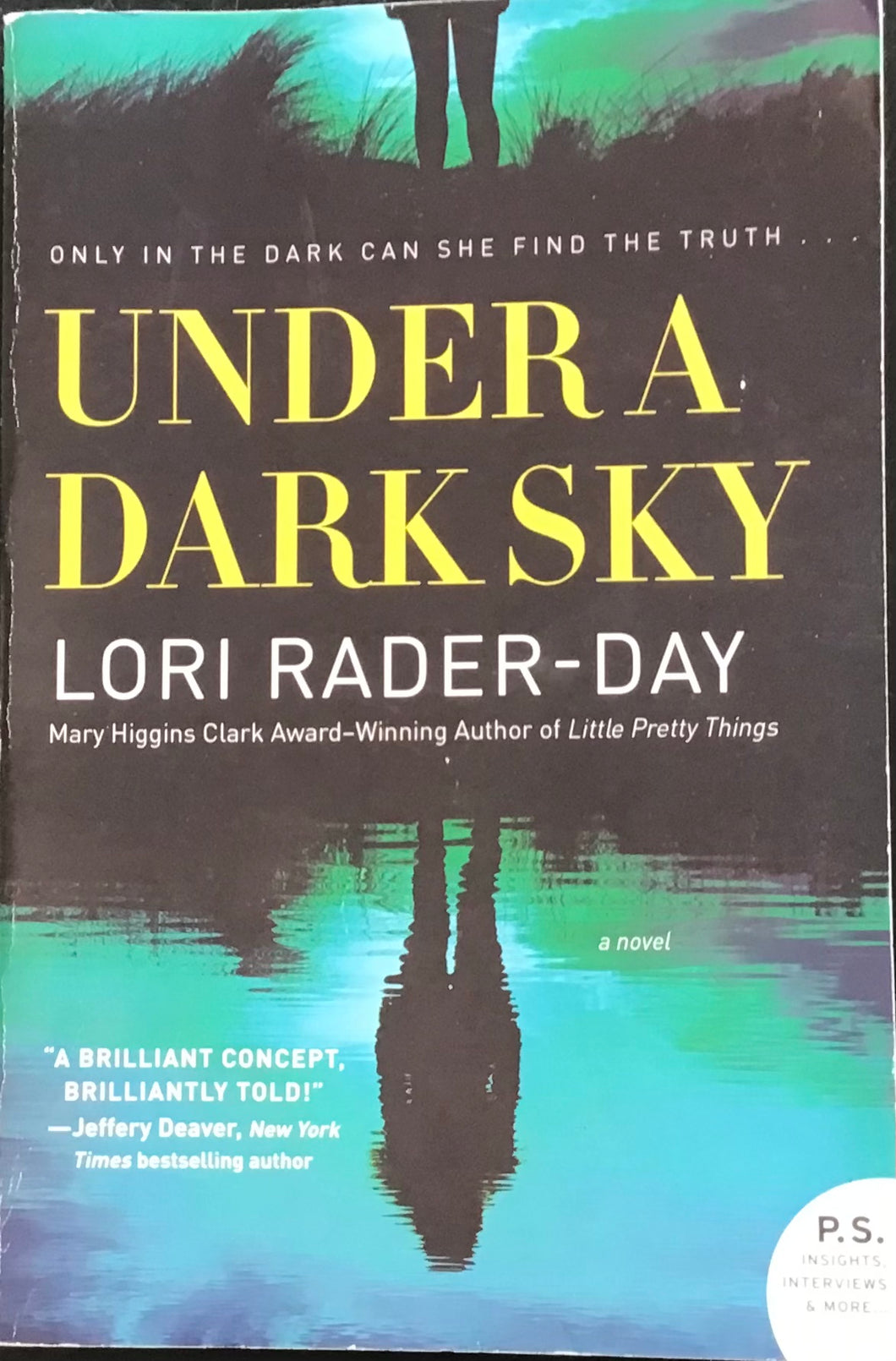 Under A Dark sky, Lori Rader-Day