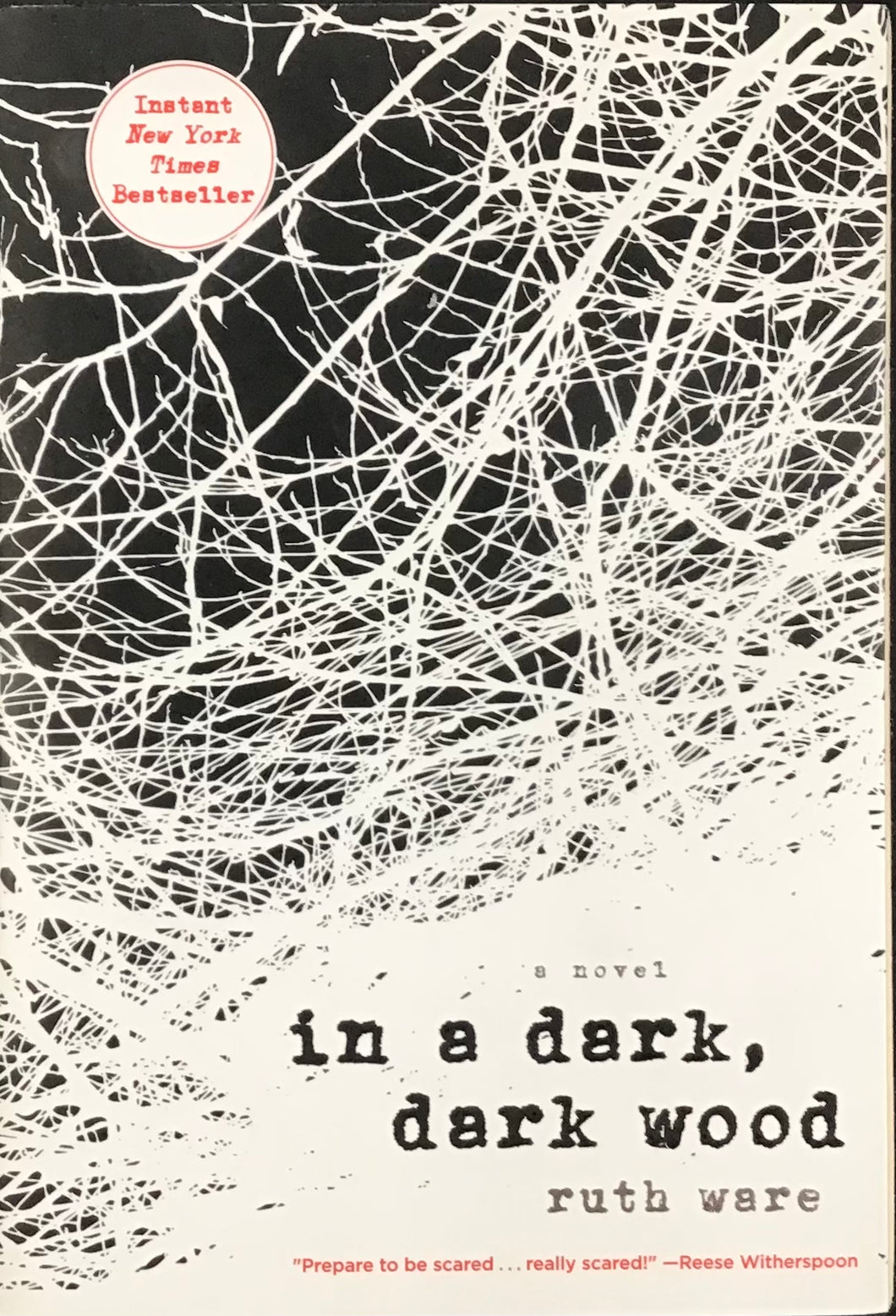 In A Dark Dark Wood, Ruth Ware