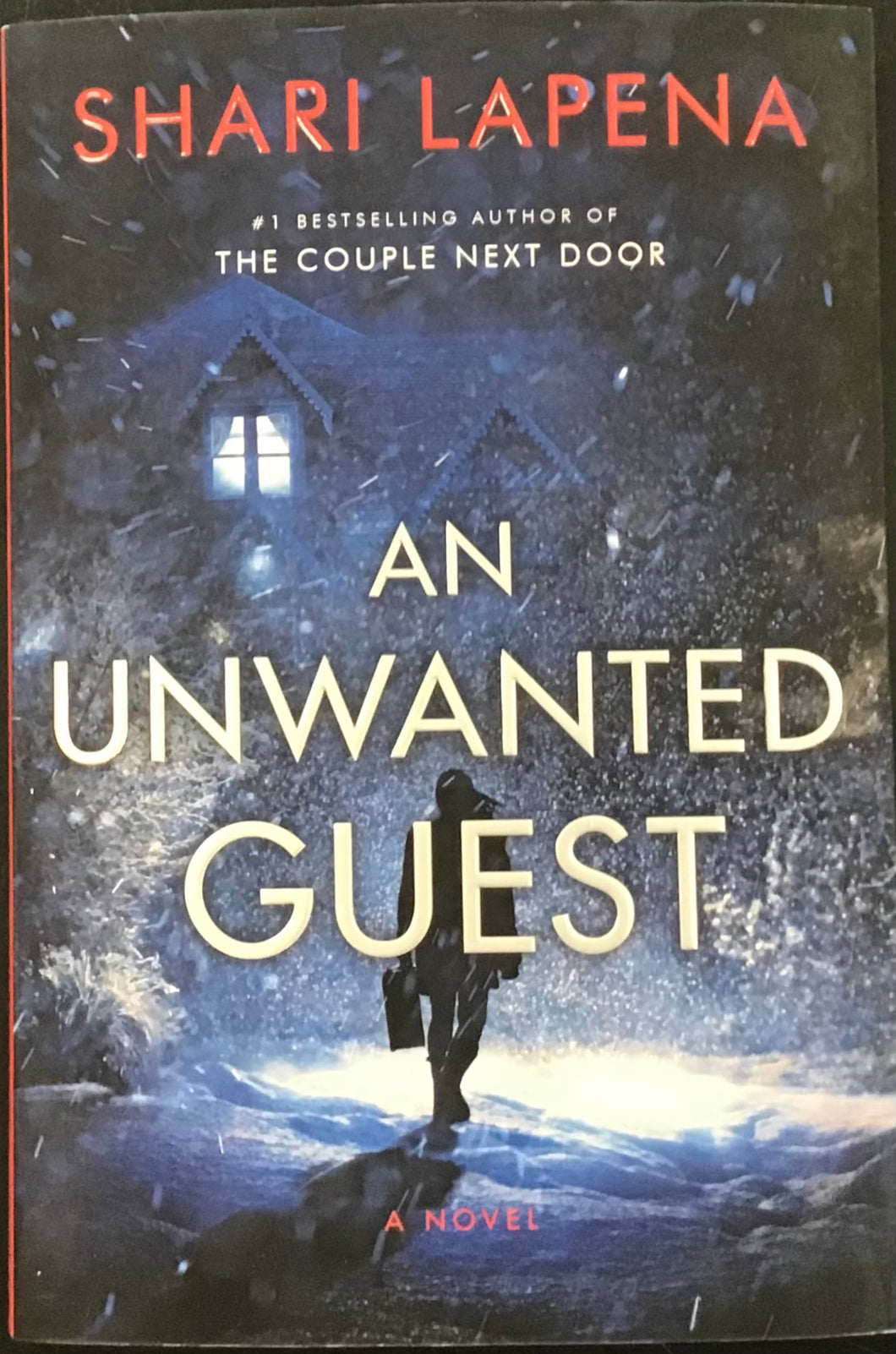 An Unwanted Guest, Shari Lapena