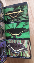 Load image into Gallery viewer, Audubon Society Field Guide to North American Butterflies - 1985 - with Book Jacket
