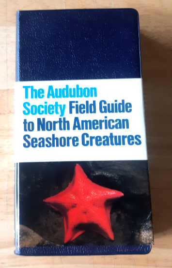 Audubon Society Field Guide to North American Seashore Creatures - 1987 - With Book Jacket