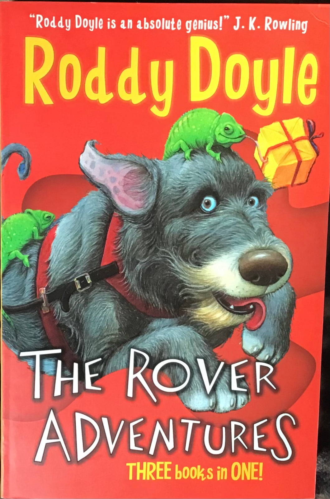 The Rover Adventures, Roddy Doyle