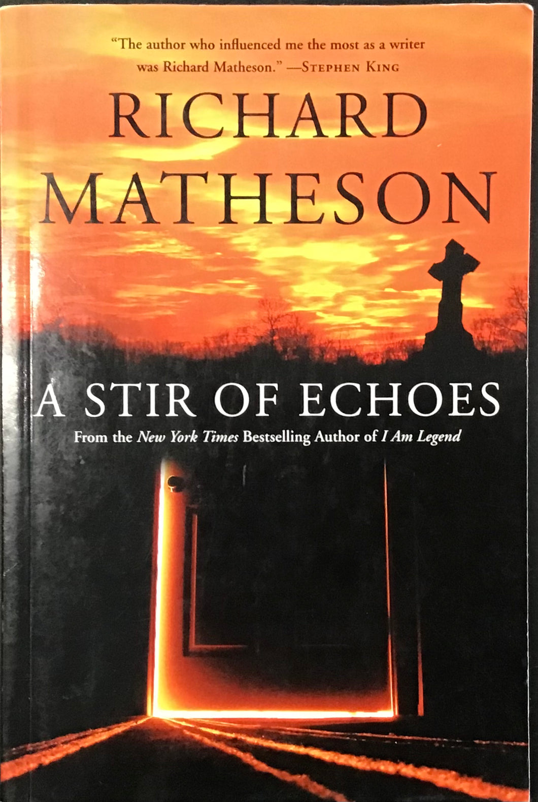 A Stir of the Echoes, Richard Matheson