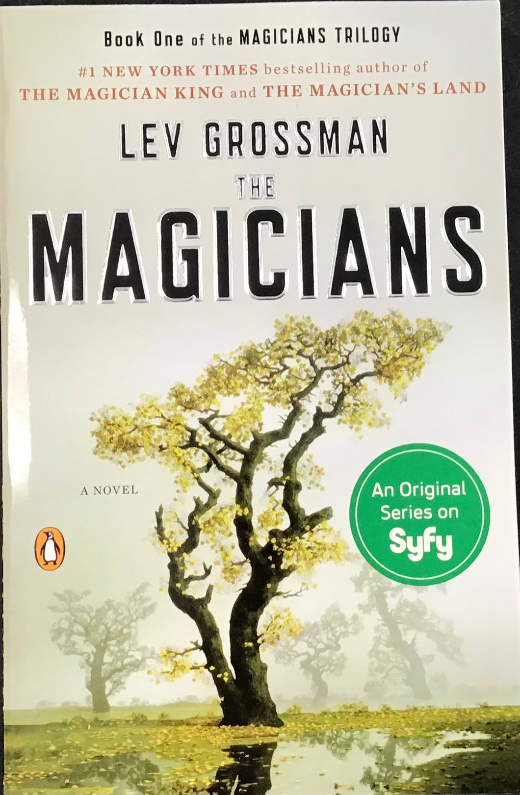 The Magicians, Lev Grossman