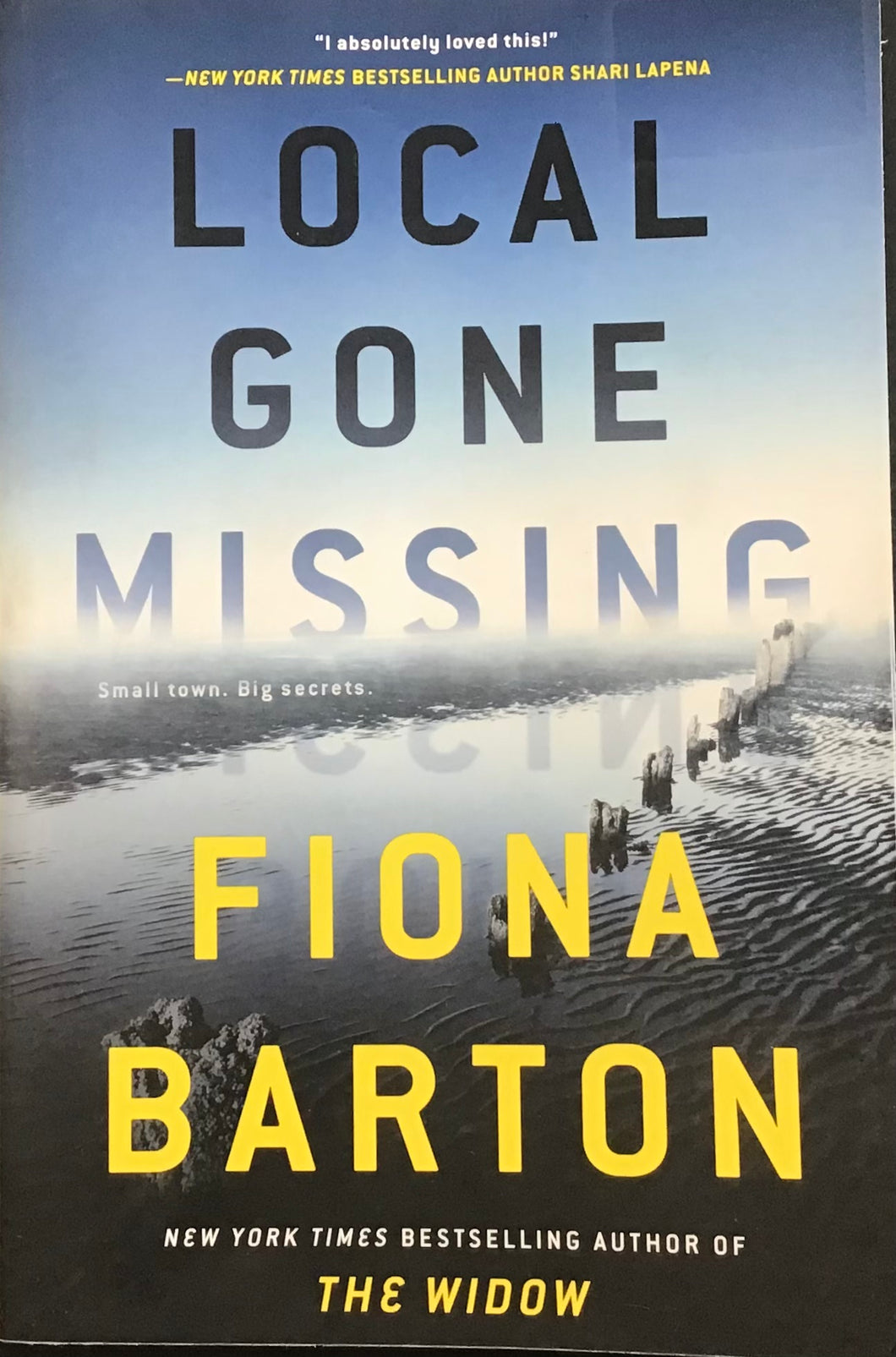 Local Gone Missing, Fiona Barton