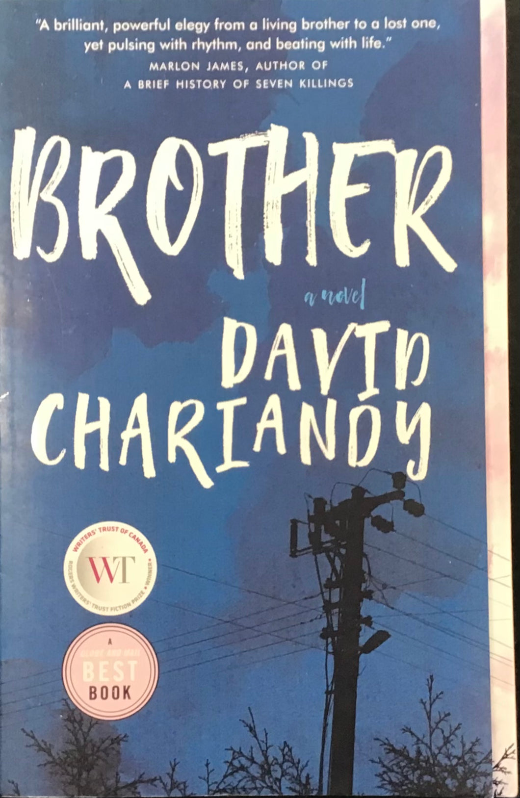 Brother, David Chariandy
