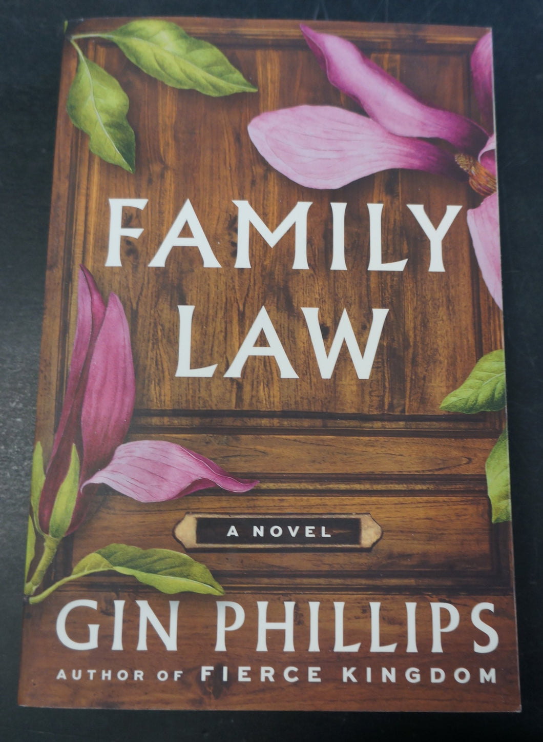 Family Law: A Novel by Gin Phillips
