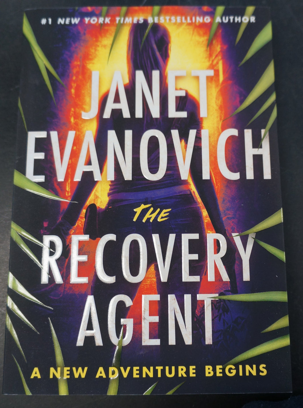 The Recovery Agent (Volume 1) by Janet Evanovich
