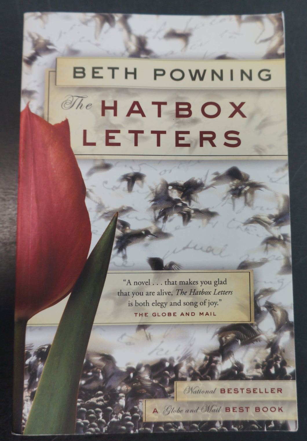 The Hatbox Letters by Beth Powning