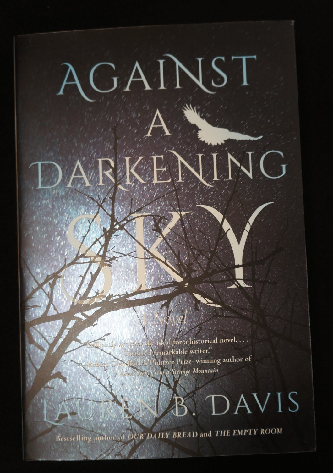 Against a Darkening Sky: A Novel by Lauren B. Davis