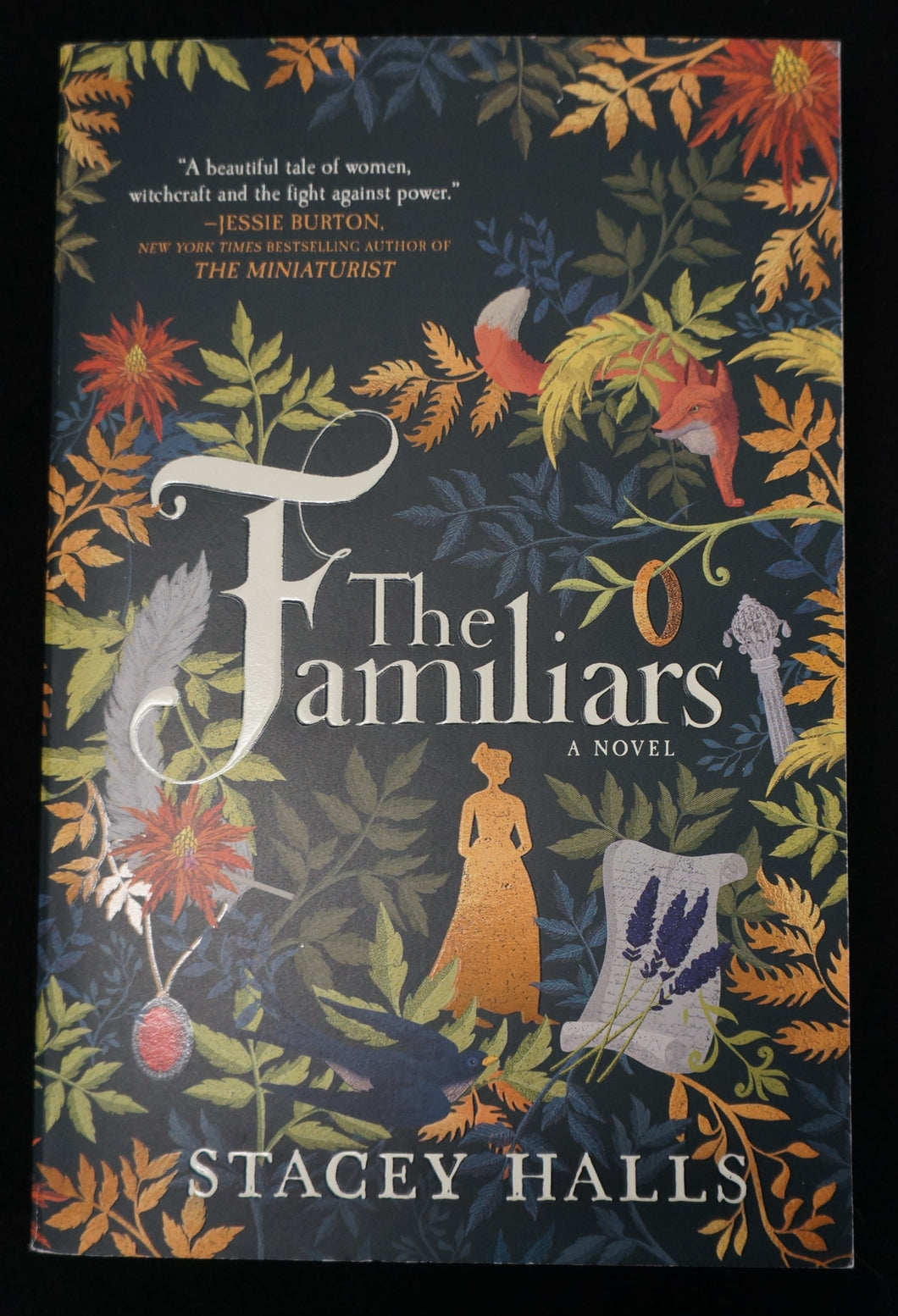 The Familiars: A Novel by Stacey Hallis