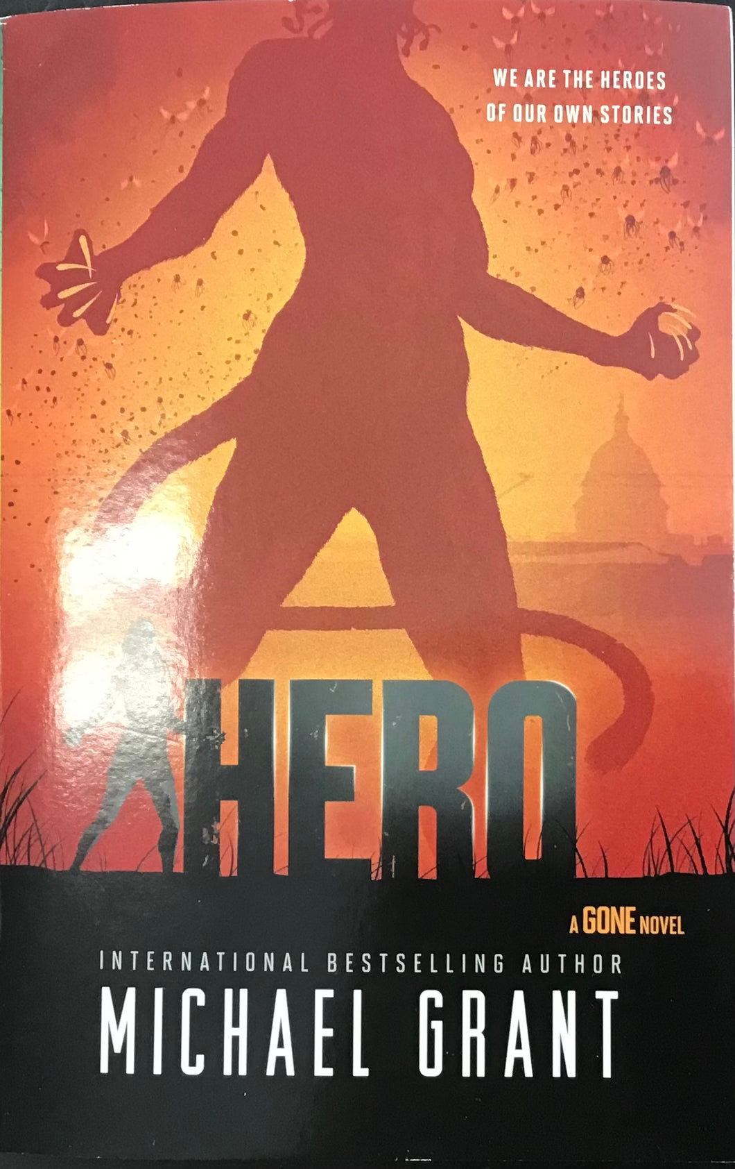 Hero, Michael Grant