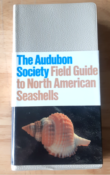 Audubon Society Field Guide to North American Seashells - 1986 - with Book Jacket