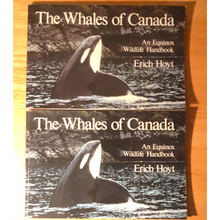 Load image into Gallery viewer, Whale Watching Pack! Set of 4 Books
