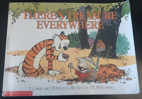 Calvin and Hobbes: There's Treasure Everywhere by Bill Watterson