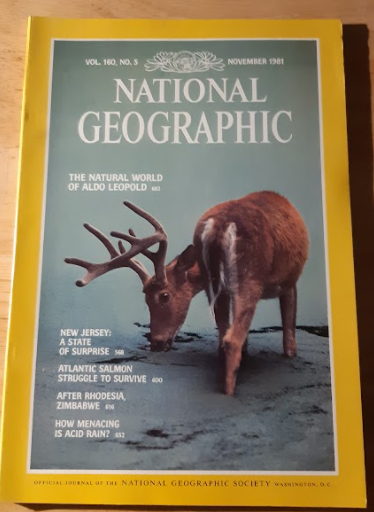 National Geographic - November 1981 (Vol. 160, No. 5)